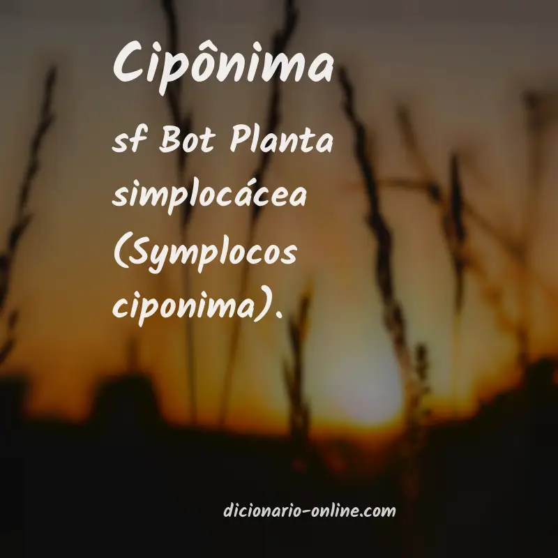 Significado de cipônima