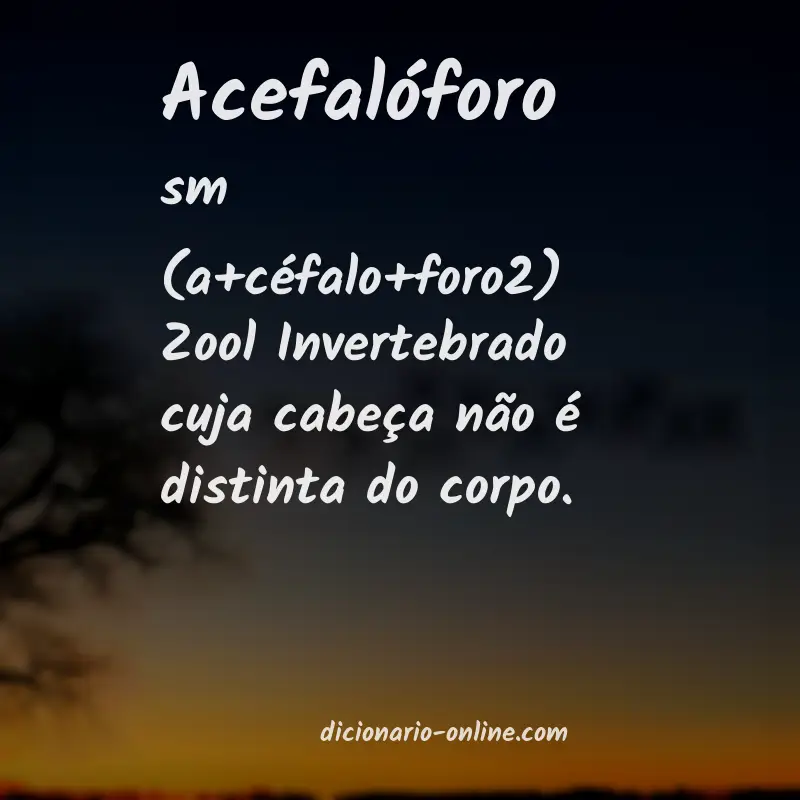 Significado de acefalóforo