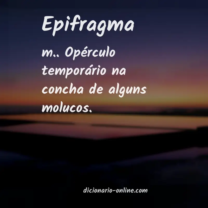 Significado de epifragma
