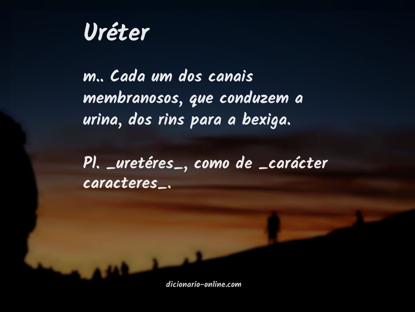 Significado de uréter