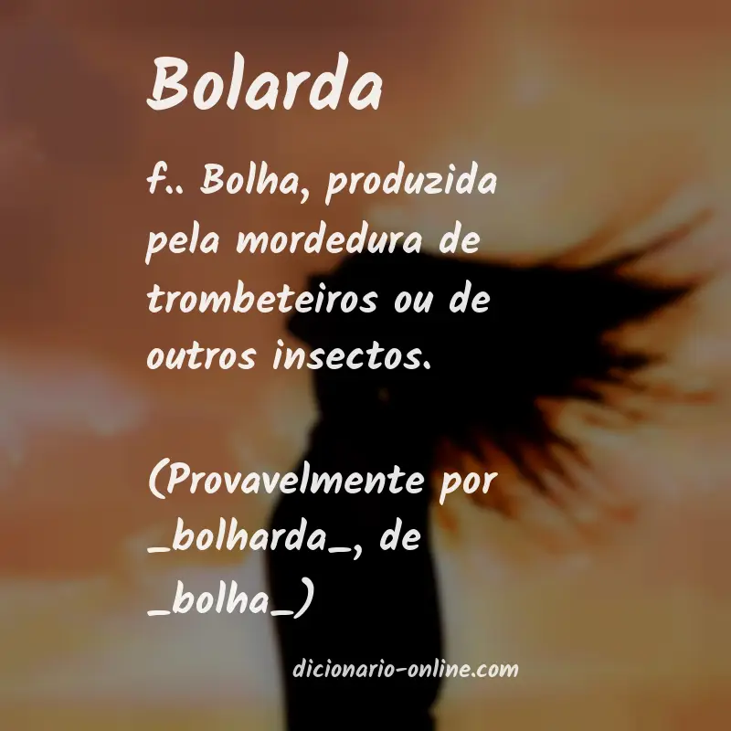 Significado de bolarda