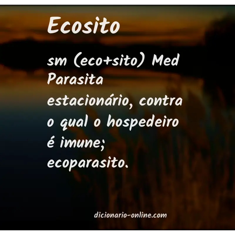 Significado de ecosito