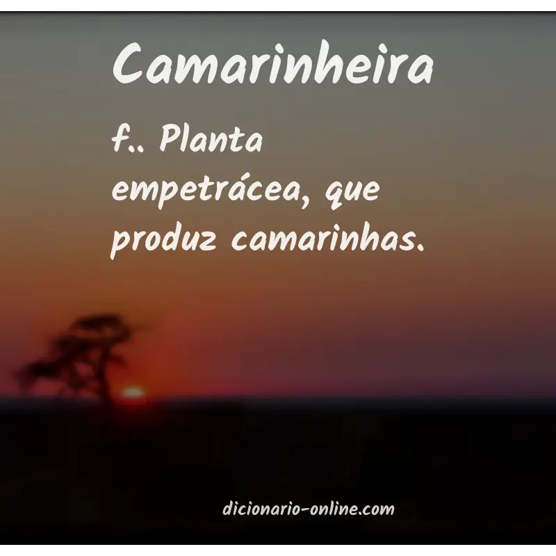 Significado de camarinheira