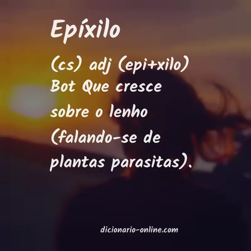 Significado de epíxilo