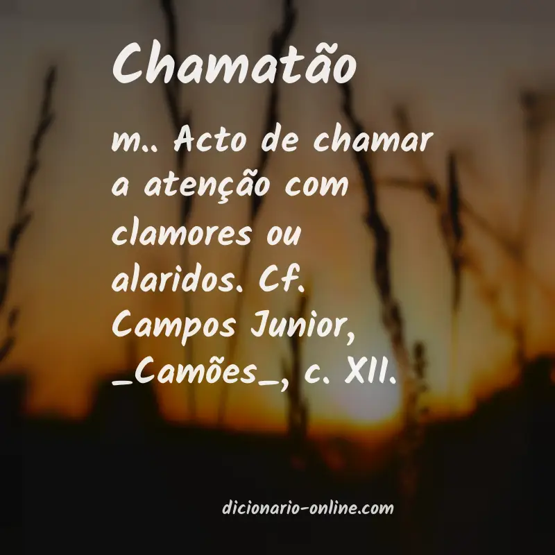 Significado de chamatão