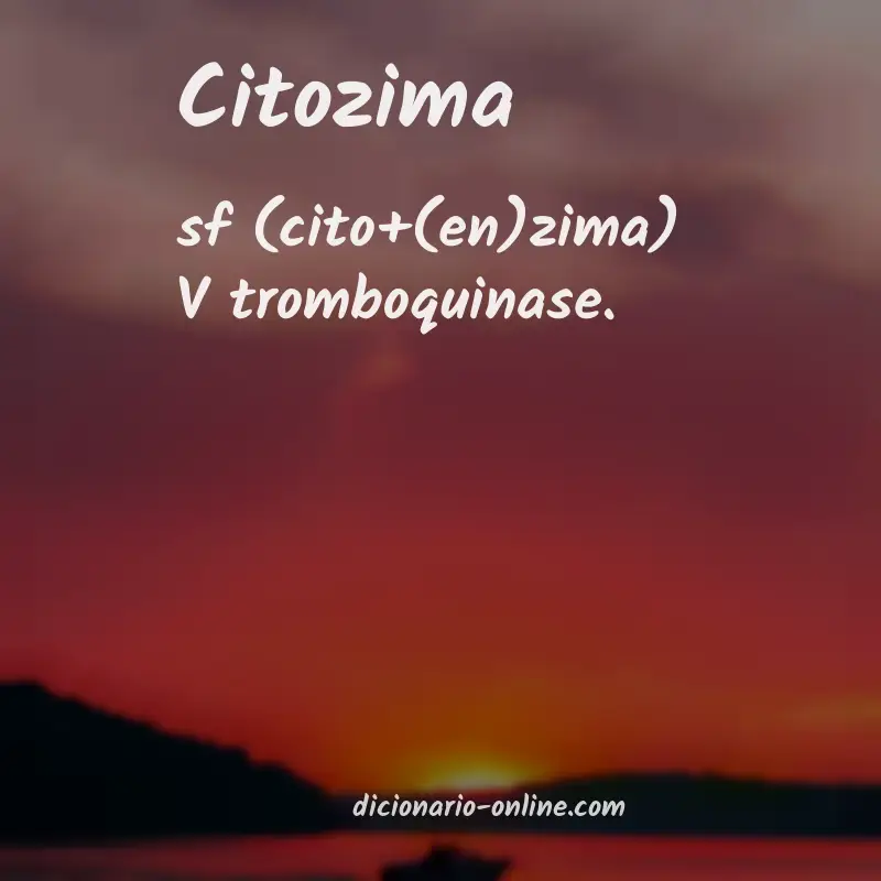 Significado de citozima