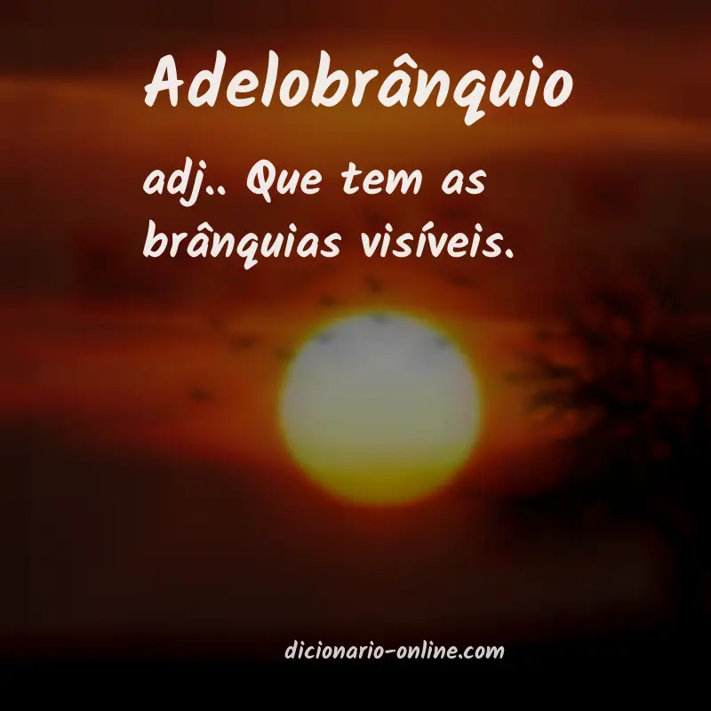 Significado de adelobrânquio