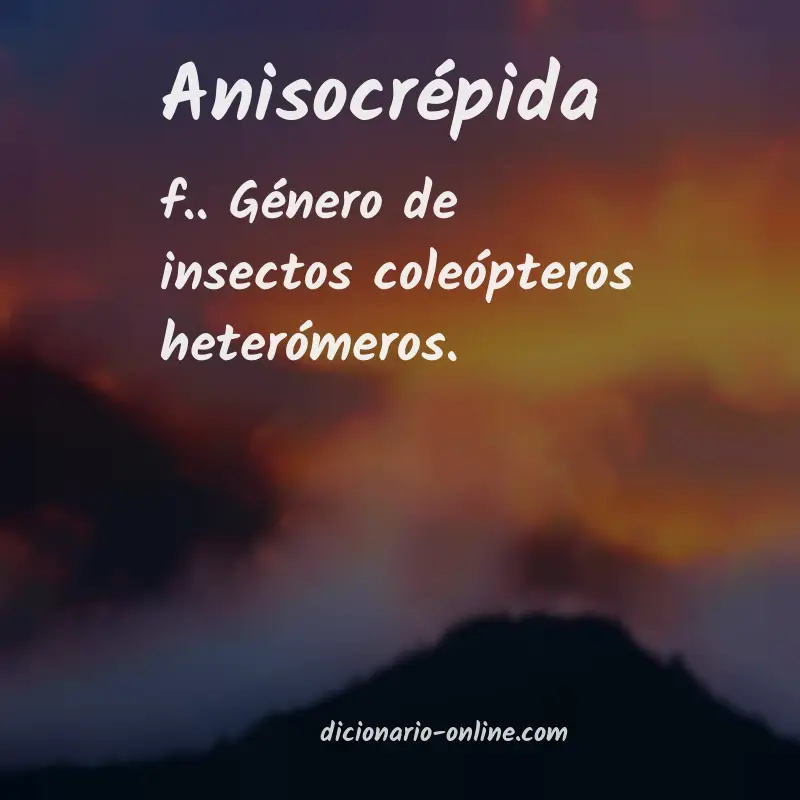 Significado de anisocrépida