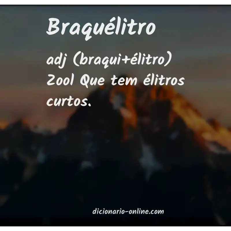 Significado de braquélitro