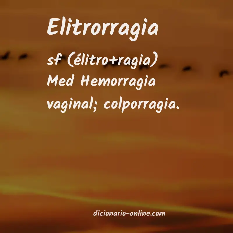 Significado de elitrorragia