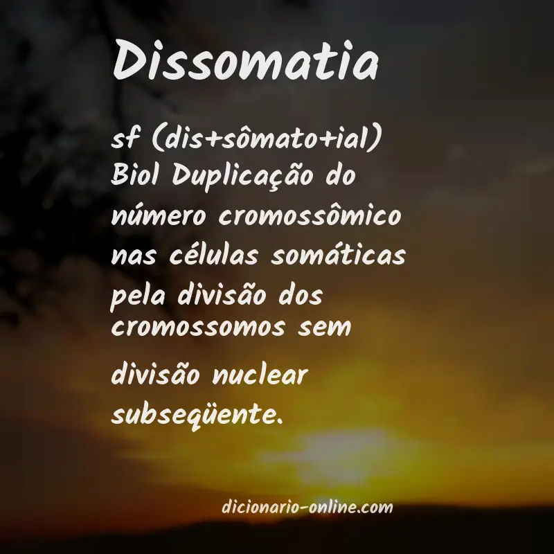 Significado de dissomatia