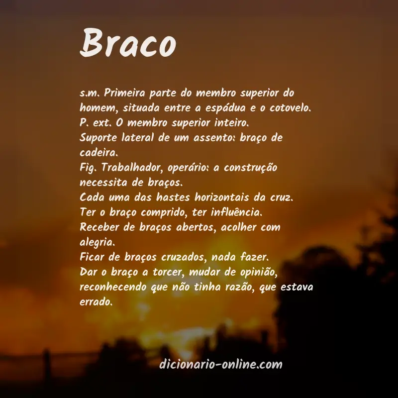 Significado de braco