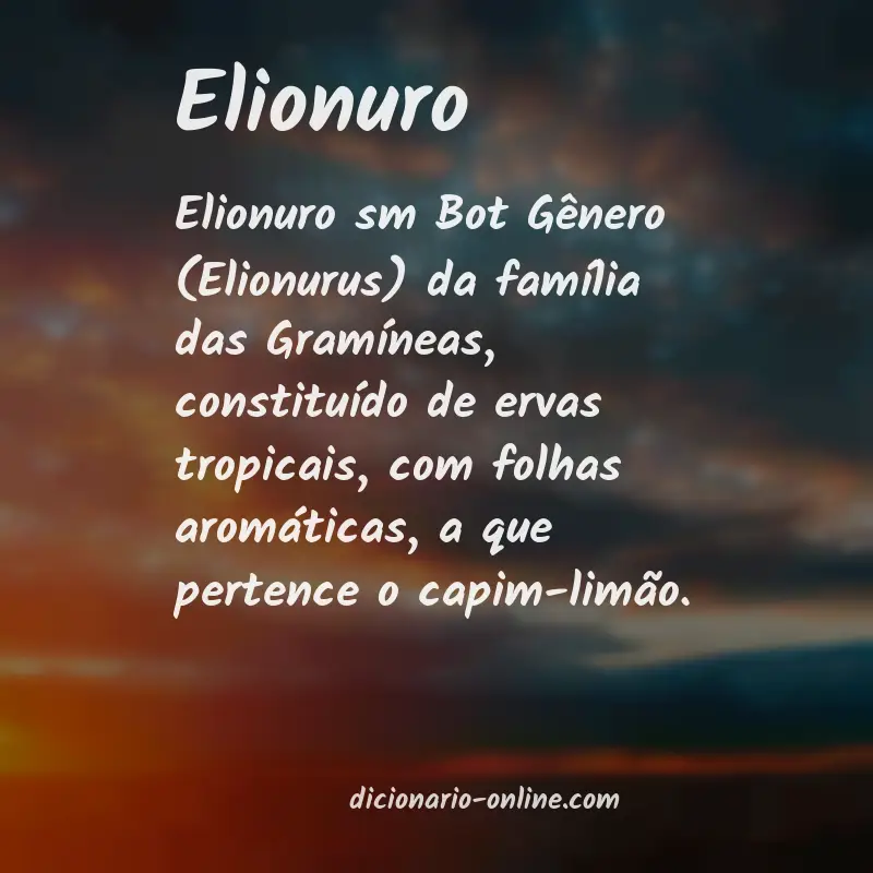 Significado de elionuro