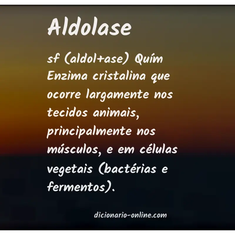 Significado de aldolase