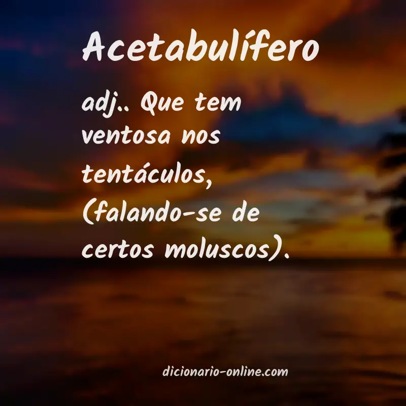 Significado de acetabulífero