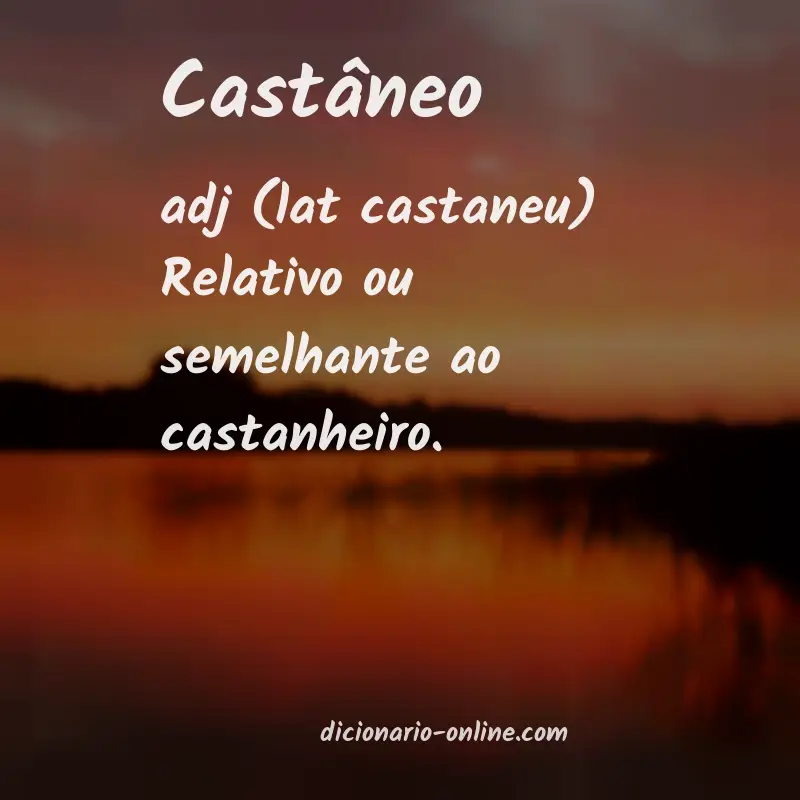Significado de castâneo