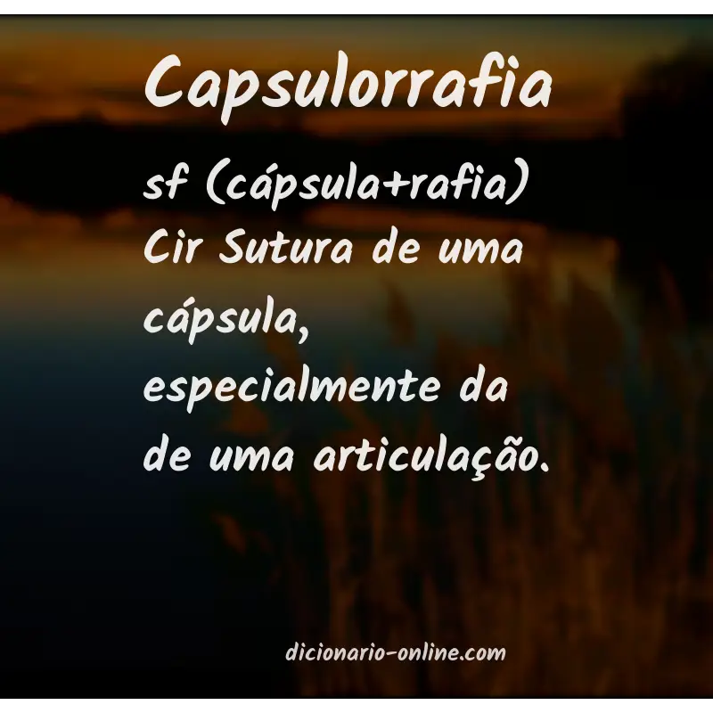 Significado de capsulorrafia