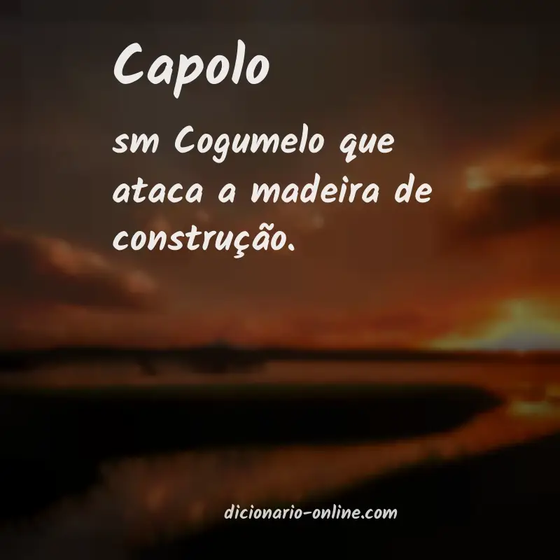 Significado de capolo
