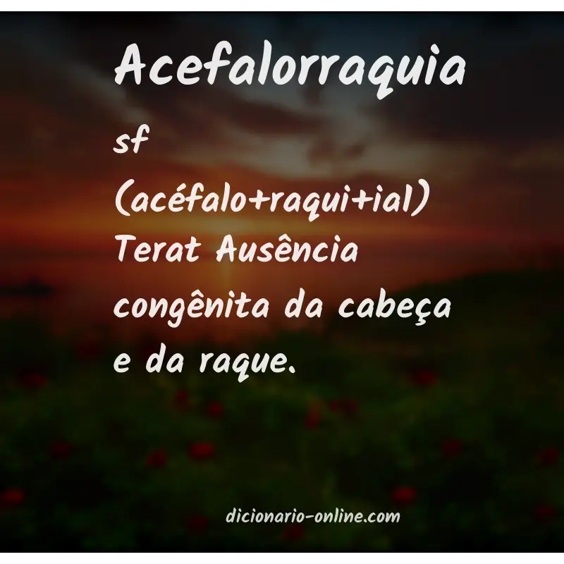 Significado de acefalorraquia