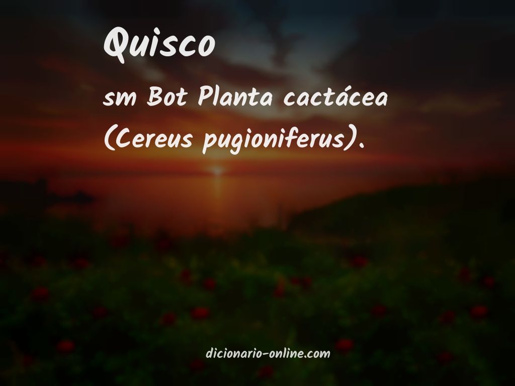 Significado de quisco