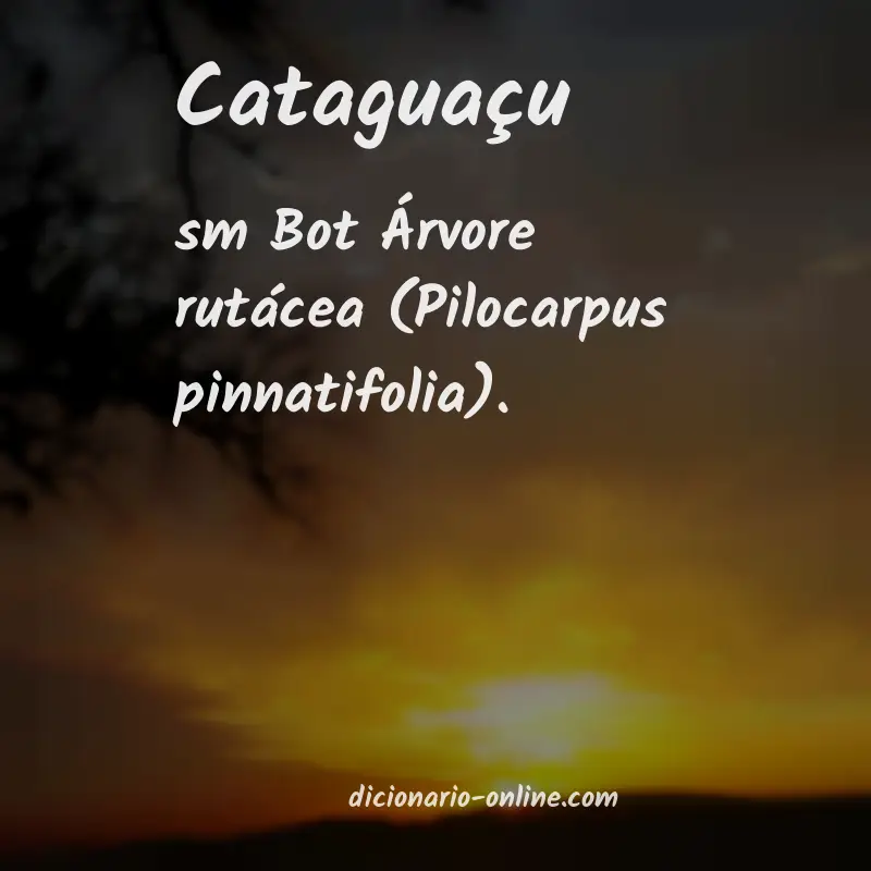 Significado de cataguaçu