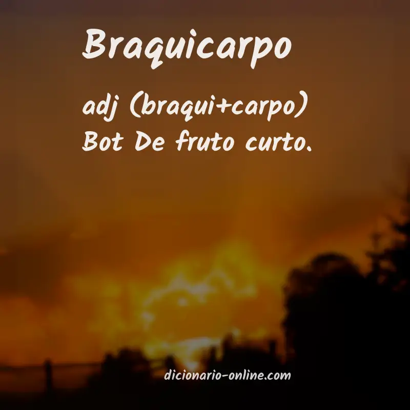 Significado de braquicarpo