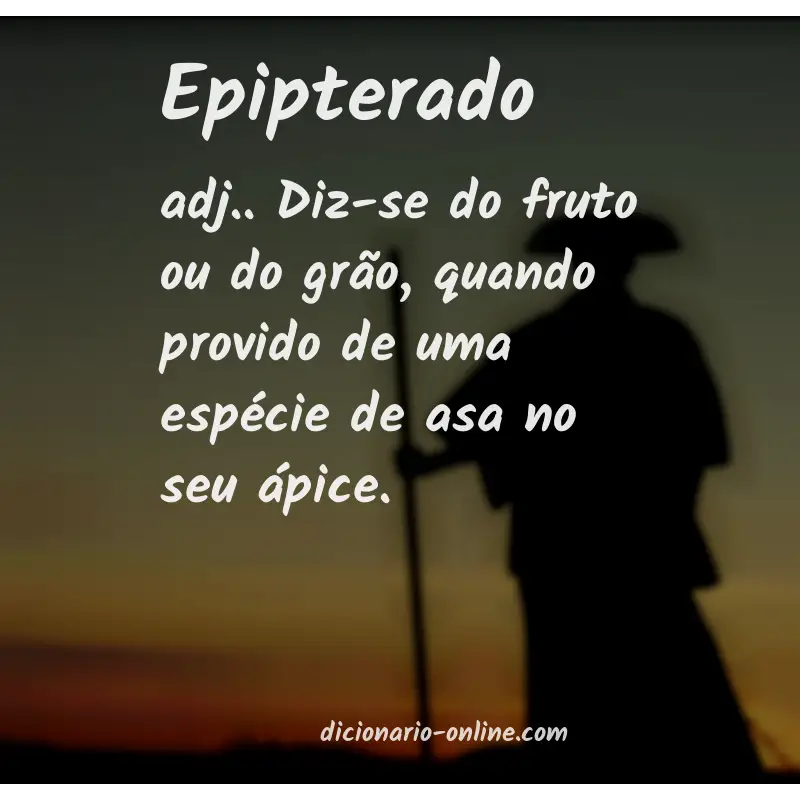 Significado de epipterado