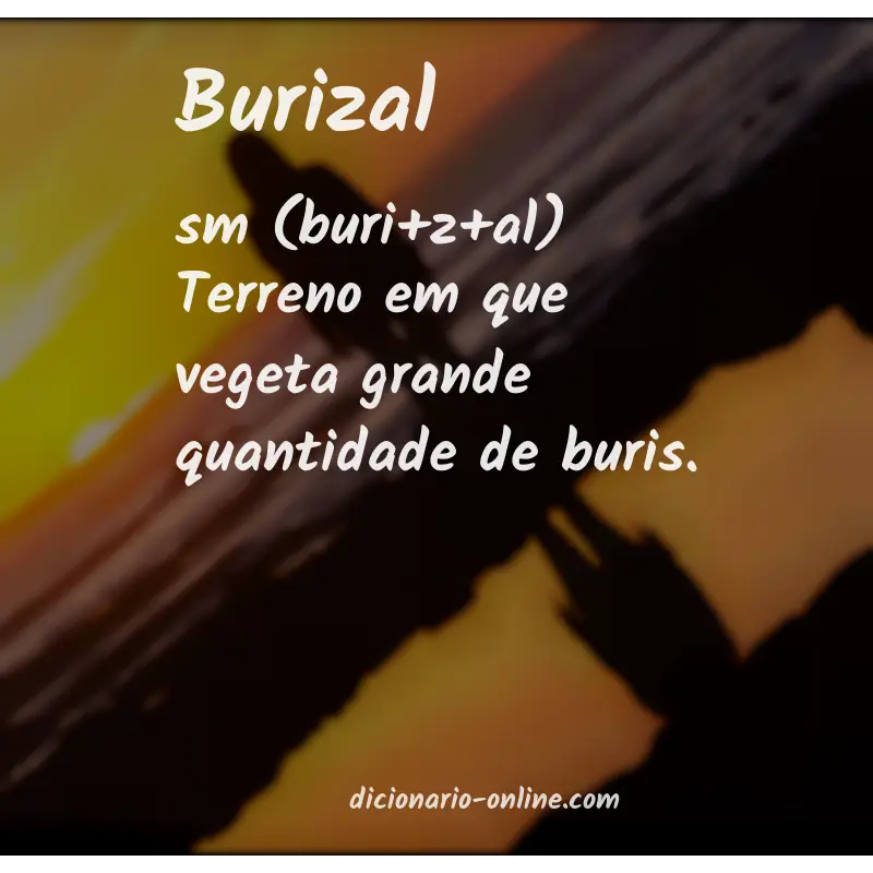 Significado de burizal