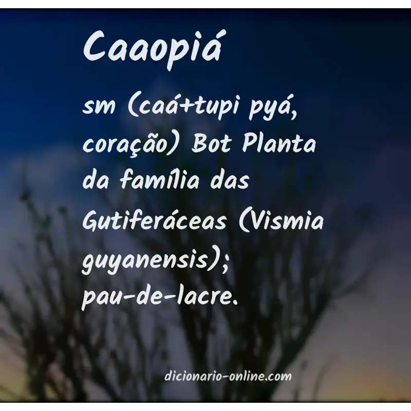 Significado de caaopiá