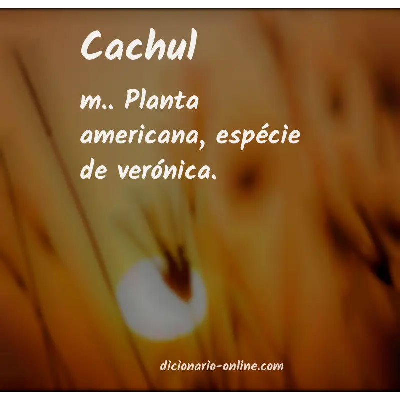 Significado de cachul