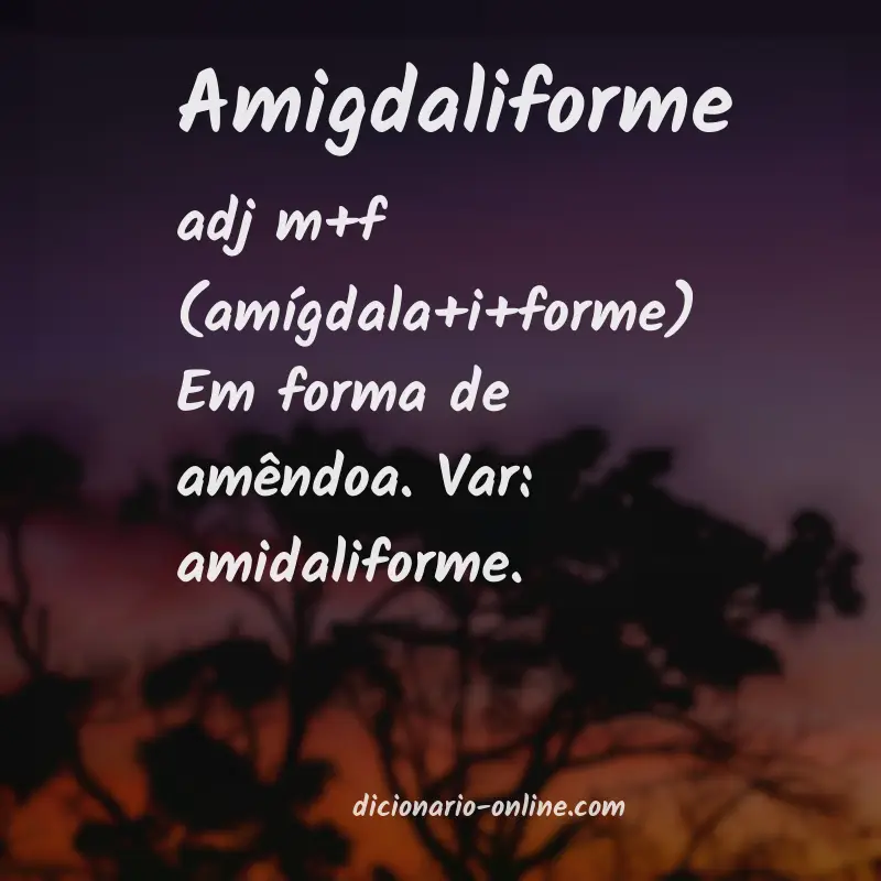 Significado de amigdaliforme