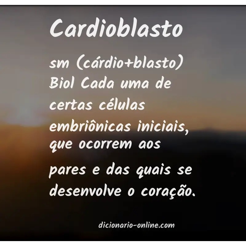 Significado de cardioblasto