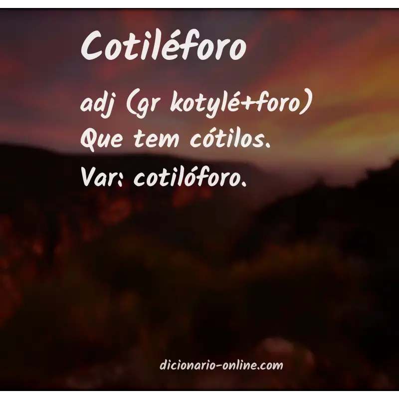 Significado de cotiléforo