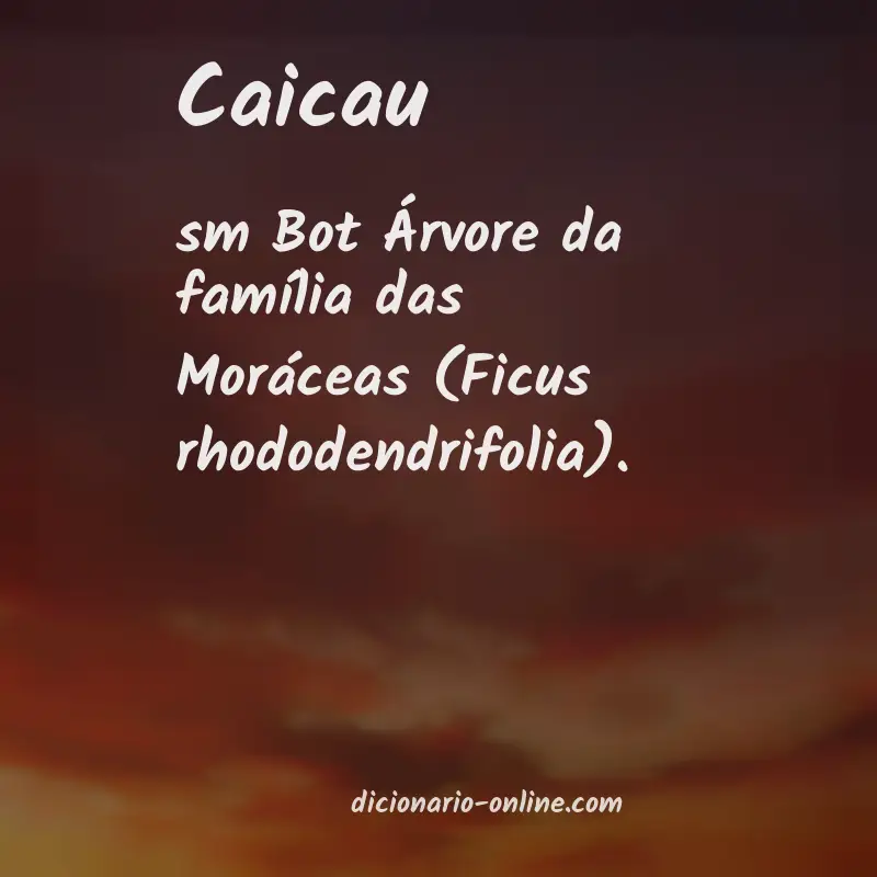 Significado de caicau