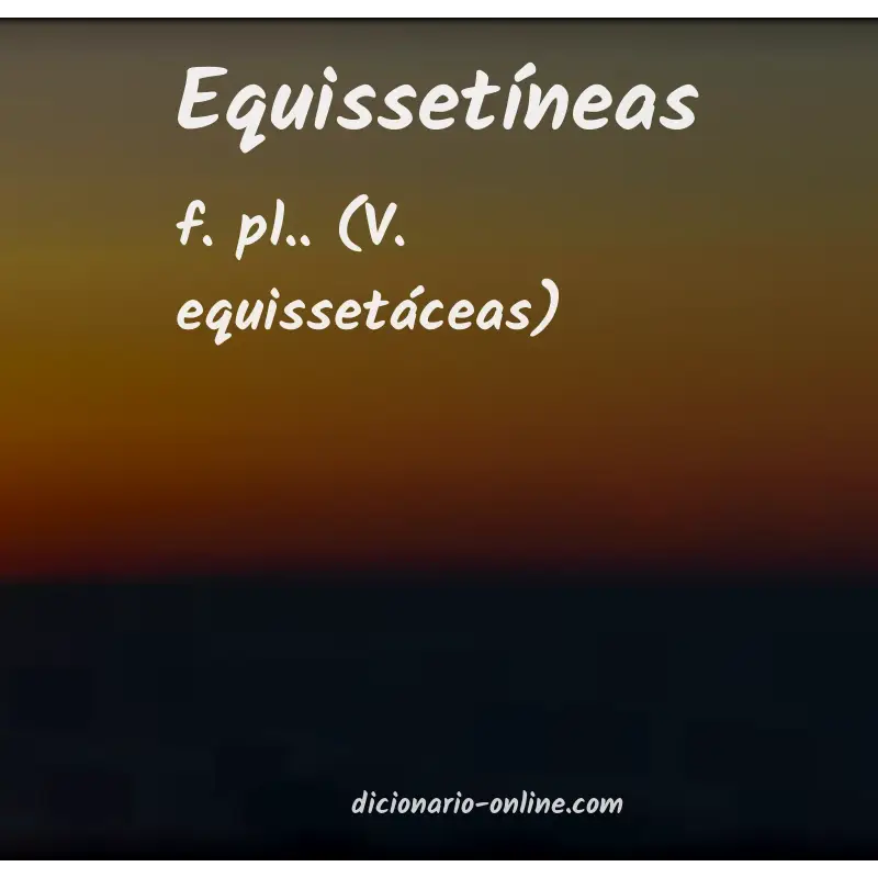 Significado de equissetíneas