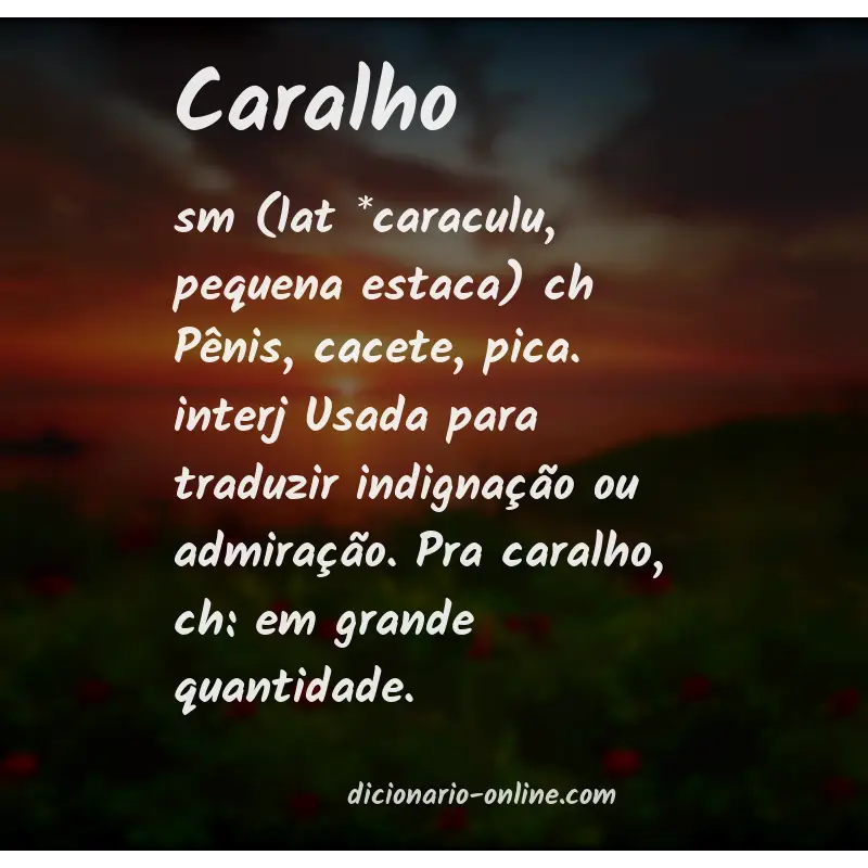 Significado de caralho