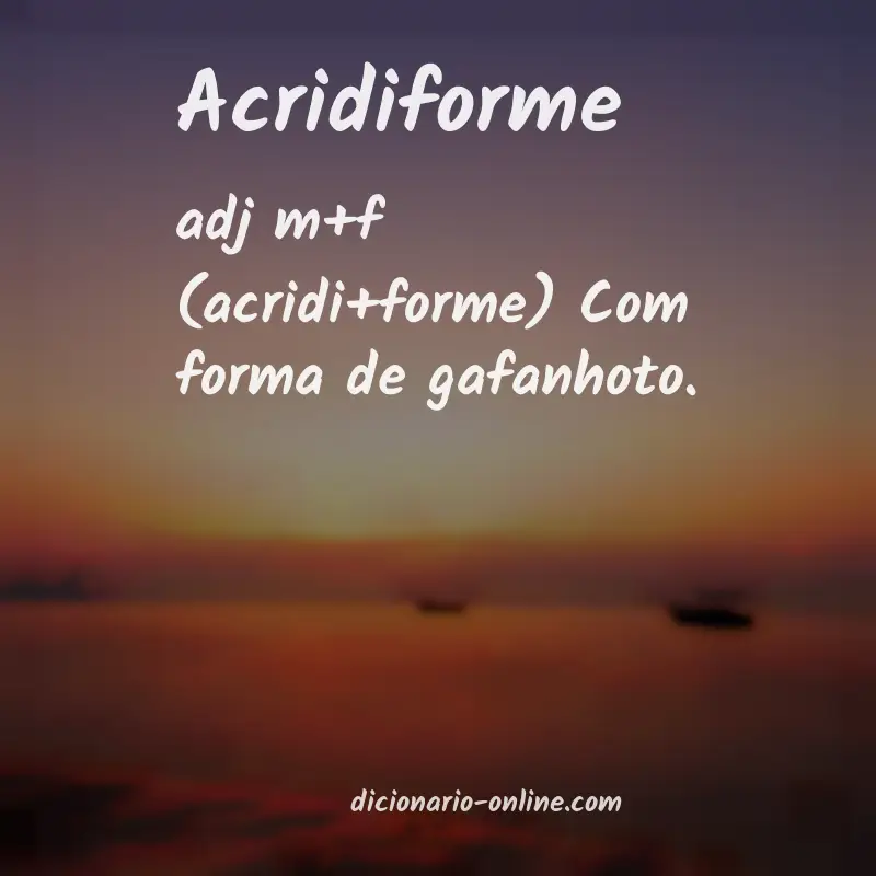 Significado de acridiforme