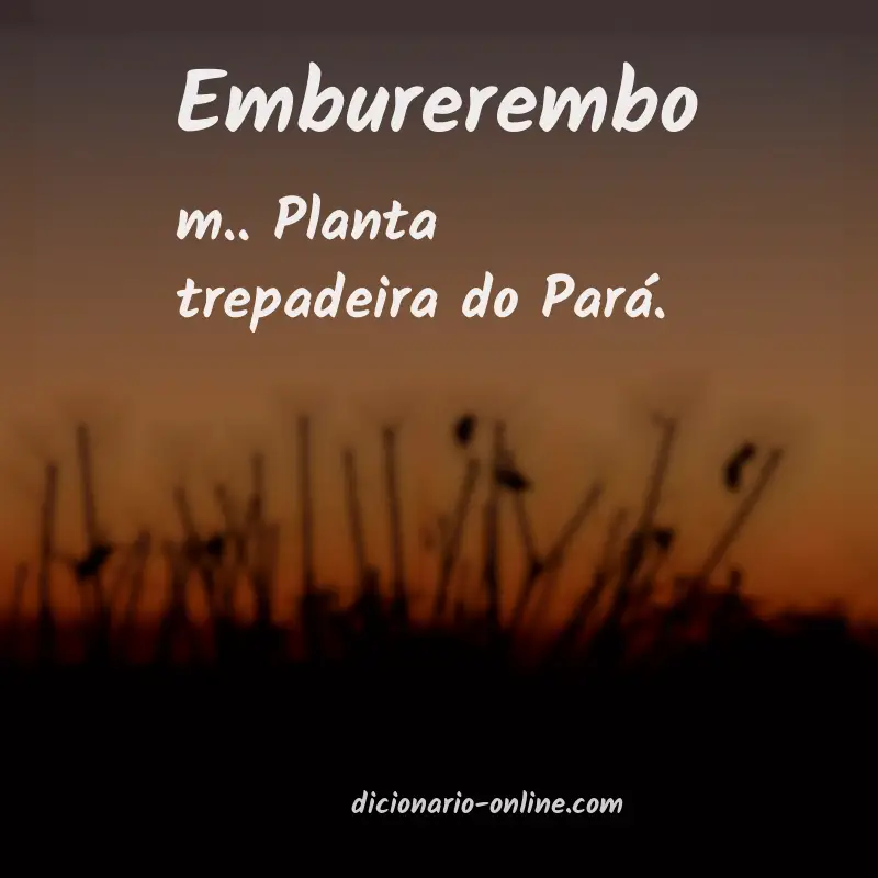 Significado de emburerembo