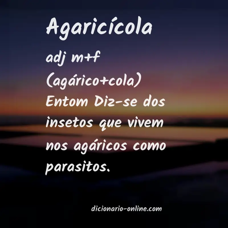 Significado de agaricícola