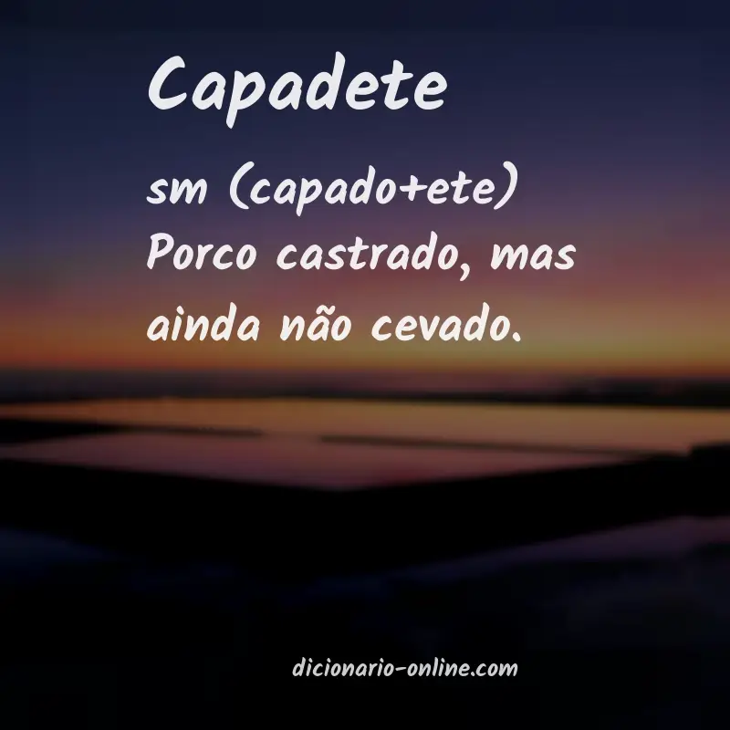 Significado de capadete