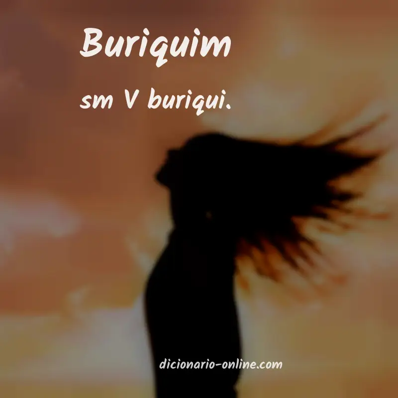 Significado de buriquim