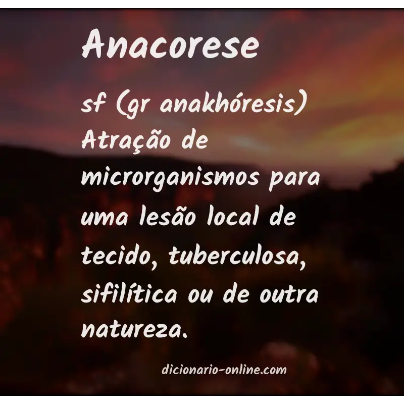 Significado de anacorese