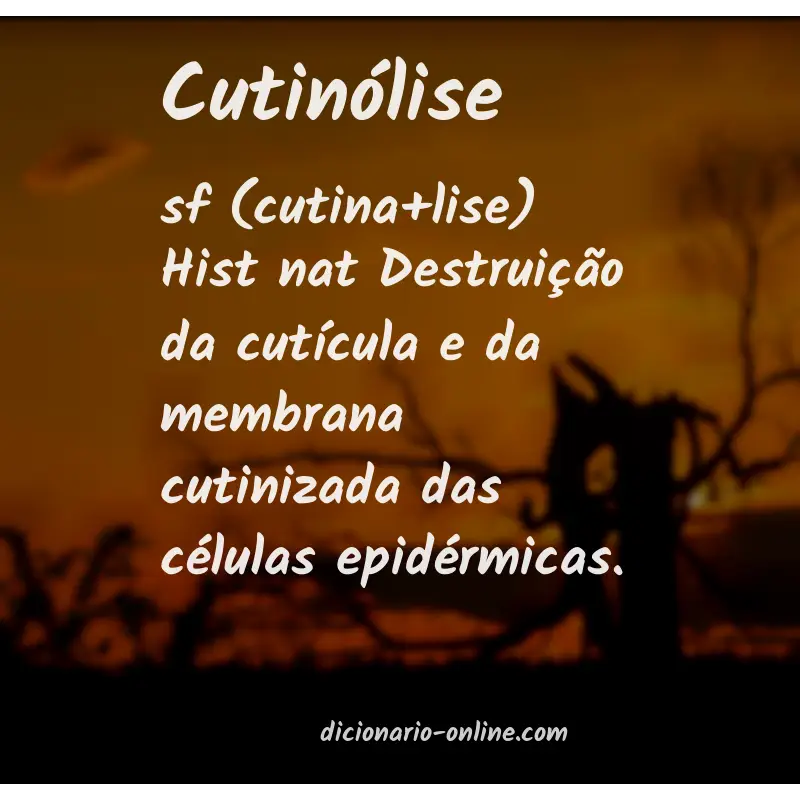 Significado de cutinólise