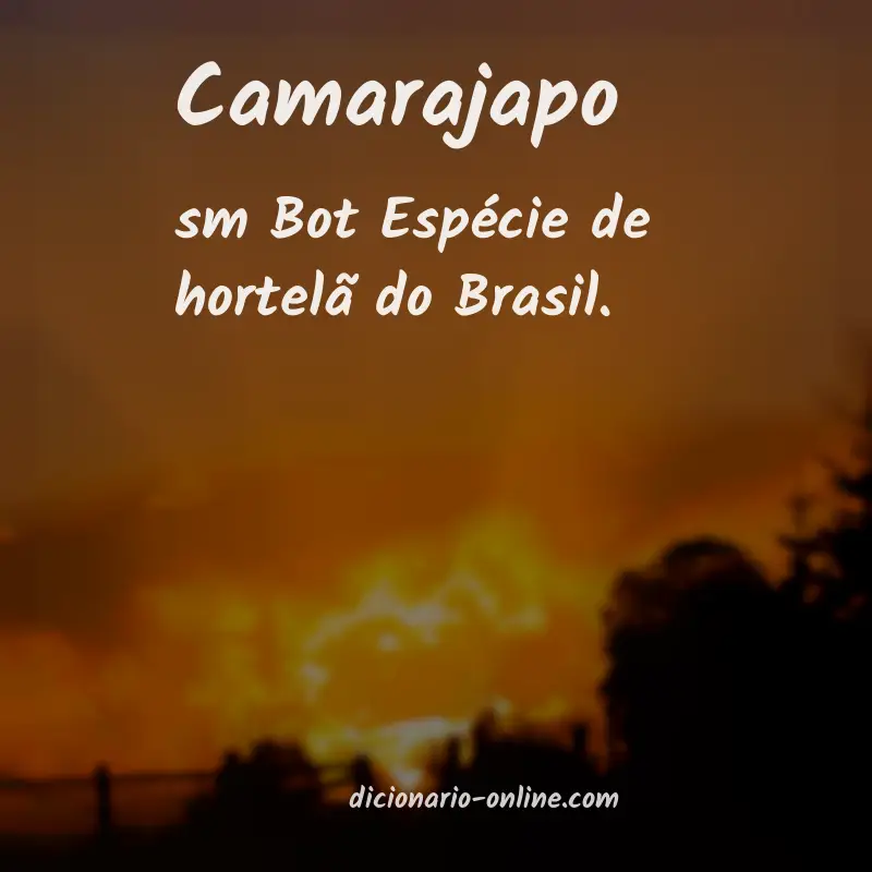 Significado de camarajapo