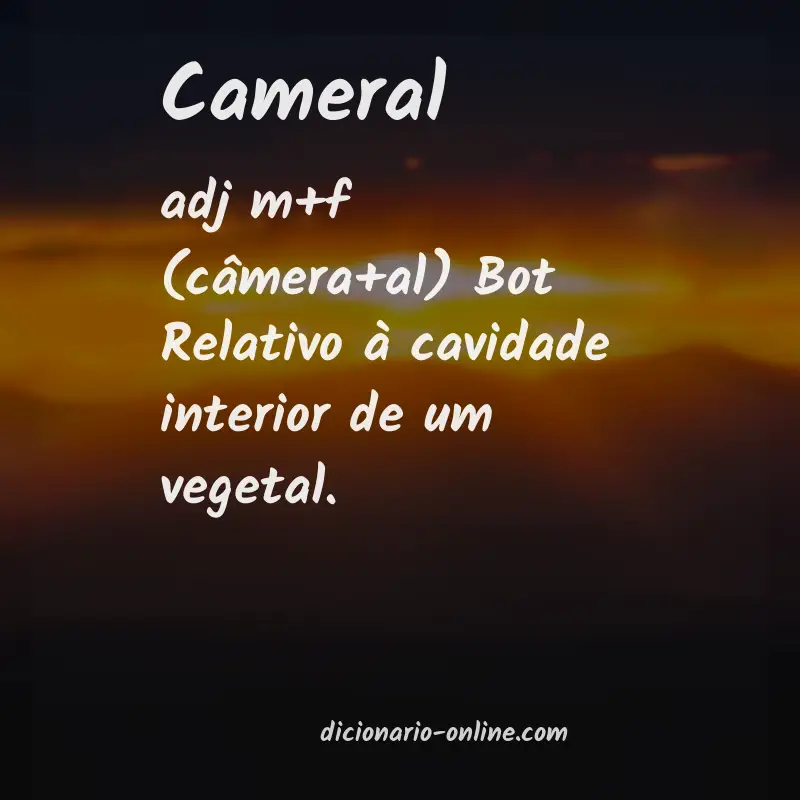Significado de cameral
