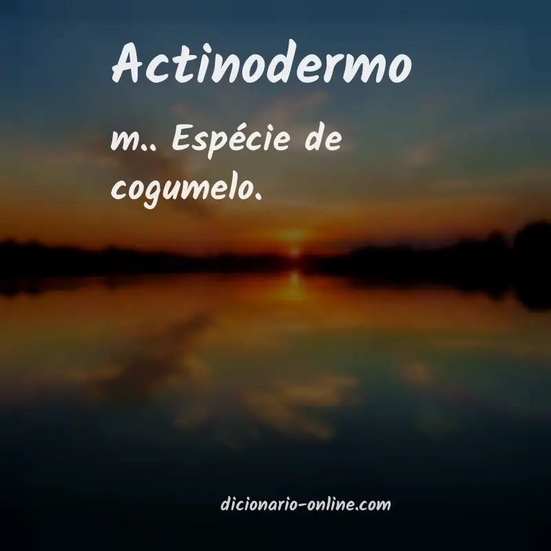 Significado de actinodermo