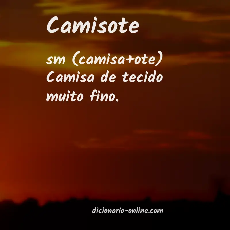 Significado de camisote
