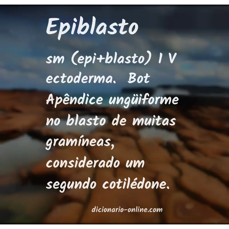 Significado de epiblasto