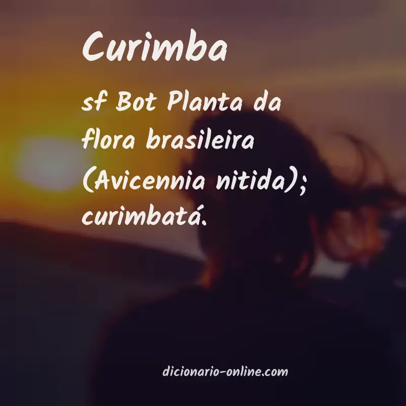 Significado de curimba