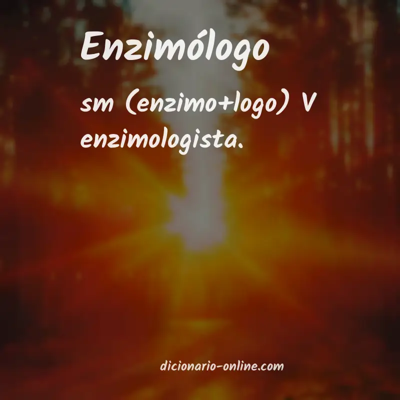 Significado de enzimólogo